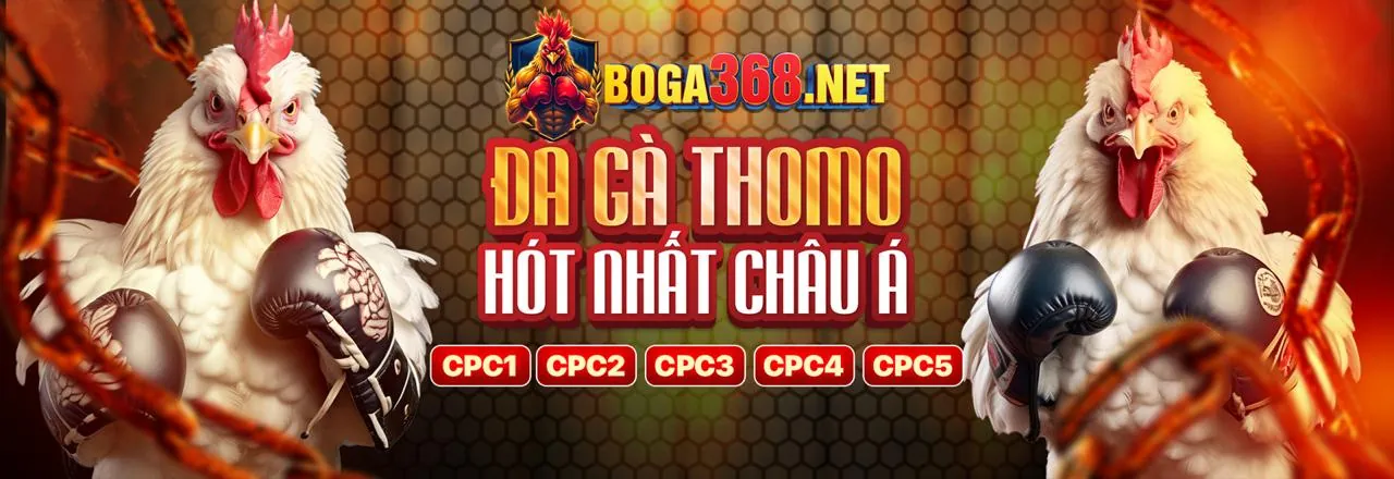 Sân đấu gà đá sôi động tại 89bet4
